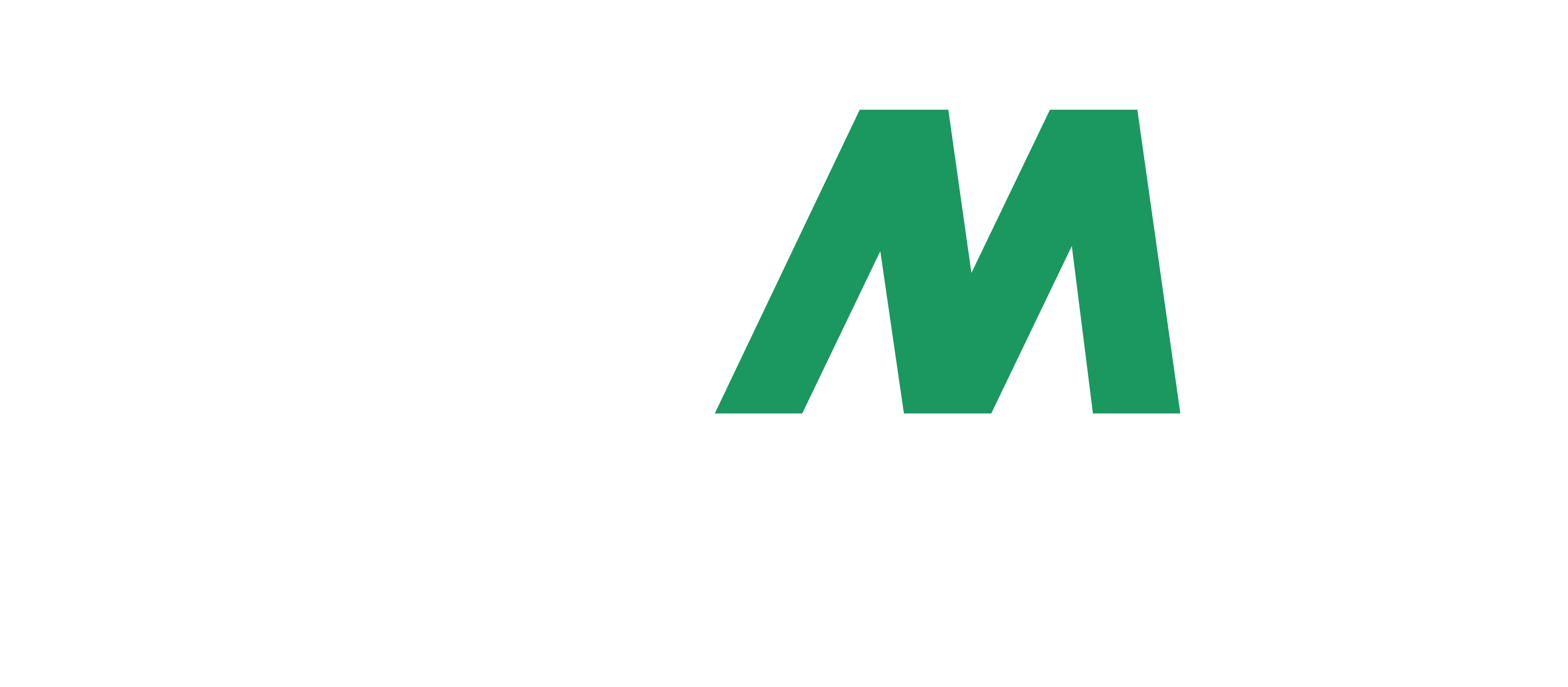 Martec de México